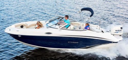 Stingray 214LR ficha técnica y opiniones